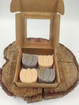 Duft Wachs Melt   ***   BOURBON KÜRBIS