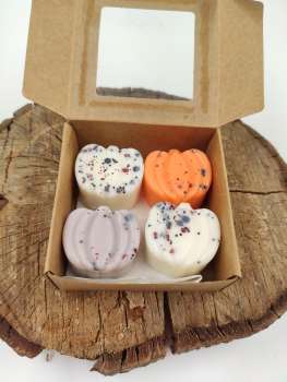 Duft Wachs Melt   ***  TOASTED PUMPKIN