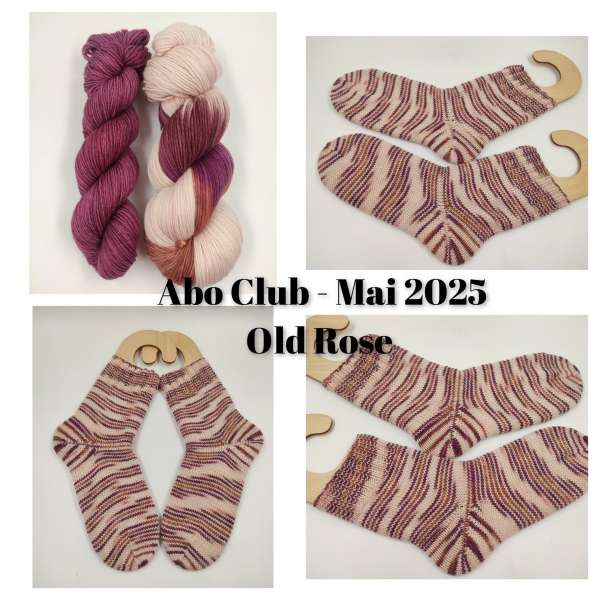 ABO Club für 3 Monate   *** Einöder Merino  Socke  *** Juli -  September  ( Extra Bestellen )