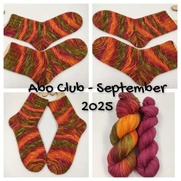 ABO Club für 3 Monate   *** Einöder Merino  Socke  *** Juli -  September  ( Extra Bestellen )