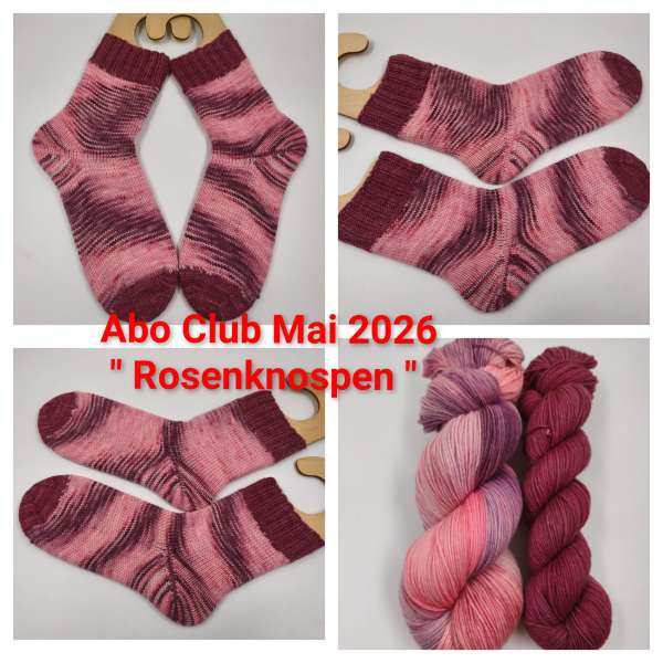 ABO Club für 3 Monate   *** Einöder Merino  Socke  *** Juli -  September  ( Extra Bestellen )