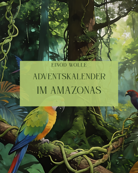 ADVENTSKALENDER 2026   ***  IM AMAZONAS  -  Merino Seide
